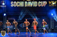 Sochi David Cup - 2017