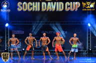 Sochi David Cup - 2017