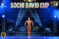 Sochi David Cup - 2017