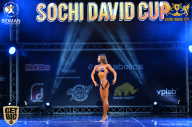 Sochi David Cup - 2017