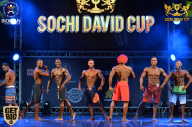 Sochi David Cup - 2017