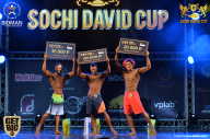 Sochi David Cup - 2017