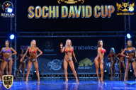 Sochi David Cup - 2017