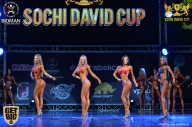 Sochi David Cup - 2017