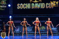 Sochi David Cup - 2017