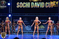 Sochi David Cup - 2017