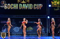 Sochi David Cup - 2017