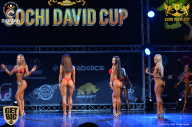 Sochi David Cup - 2017