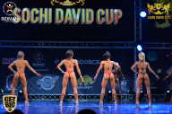 Sochi David Cup - 2017