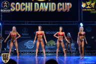 Sochi David Cup - 2017