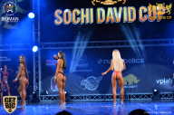 Sochi David Cup - 2017