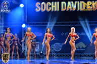 Sochi David Cup - 2017