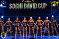 Sochi David Cup - 2017