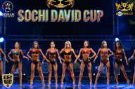 Sochi David Cup - 2017