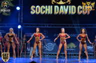 Sochi David Cup - 2017