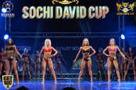 Sochi David Cup - 2017