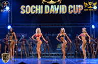 Sochi David Cup - 2017