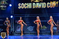 Sochi David Cup - 2017