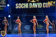 Sochi David Cup - 2017