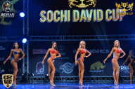 Sochi David Cup - 2017