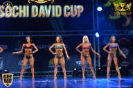 Sochi David Cup - 2017