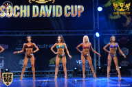 Sochi David Cup - 2017