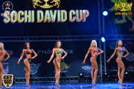 Sochi David Cup - 2017