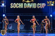 Sochi David Cup - 2017