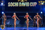 Sochi David Cup - 2017