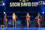 Sochi David Cup - 2017