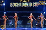 Sochi David Cup - 2017