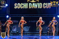 Sochi David Cup - 2017