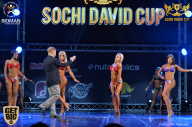 Sochi David Cup - 2017