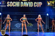 Sochi David Cup - 2017