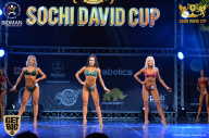 Sochi David Cup - 2017