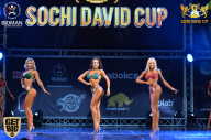 Sochi David Cup - 2017