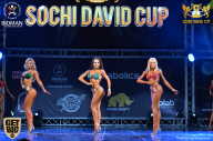 Sochi David Cup - 2017