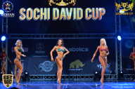 Sochi David Cup - 2017