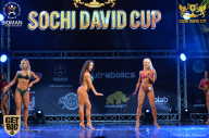 Sochi David Cup - 2017