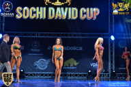 Sochi David Cup - 2017