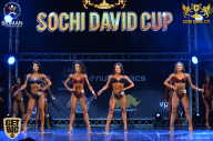 Sochi David Cup - 2017