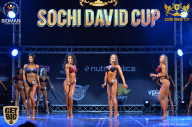 Sochi David Cup - 2017