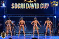 Sochi David Cup - 2017