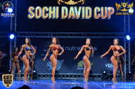 Sochi David Cup - 2017