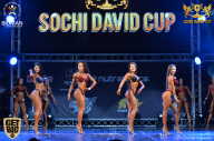 Sochi David Cup - 2017