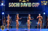 Sochi David Cup - 2017