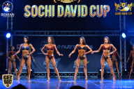 Sochi David Cup - 2017