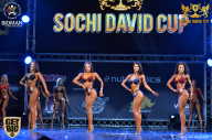 Sochi David Cup - 2017