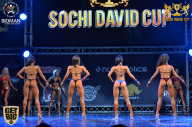 Sochi David Cup - 2017