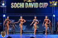 Sochi David Cup - 2017